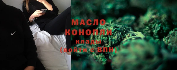 гашик Горняк