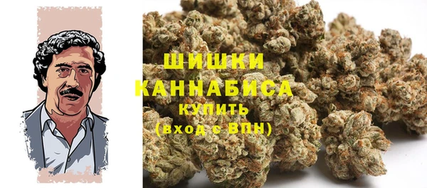 apvp Горнозаводск