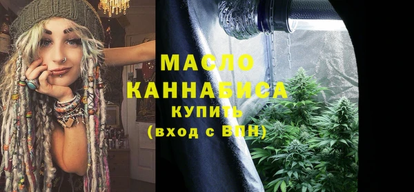 гашик Горняк