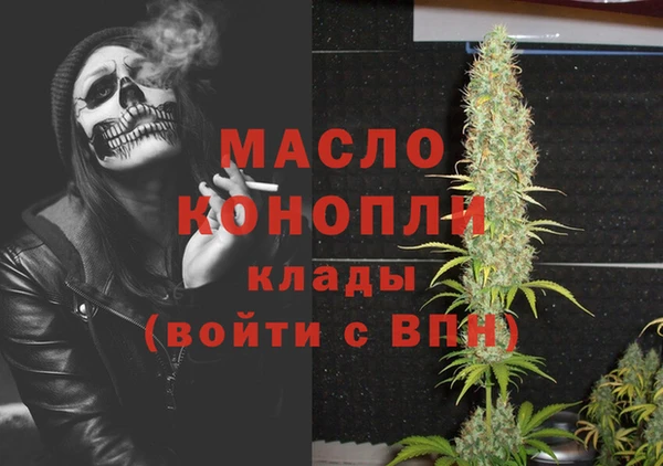 гашик Горняк