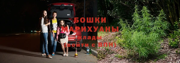 apvp Горнозаводск